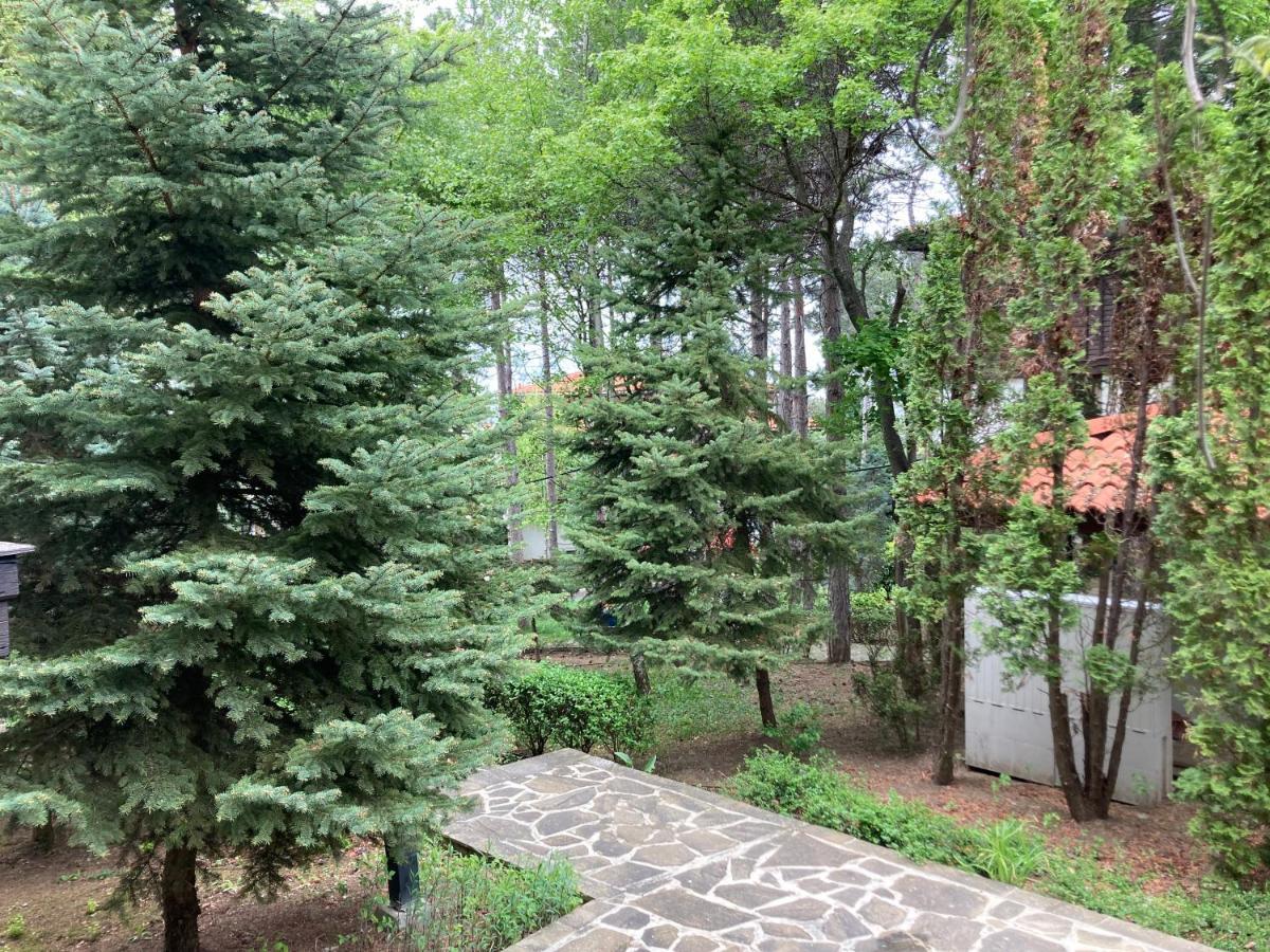 Lovely Apartment Santa Marina סוזופול מראה חיצוני תמונה